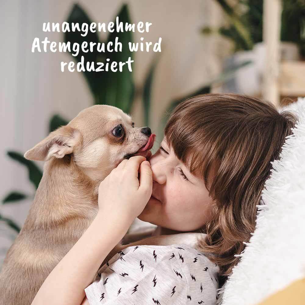 cdVet dentaVet Gel für Hunde und Katzen, 25ml