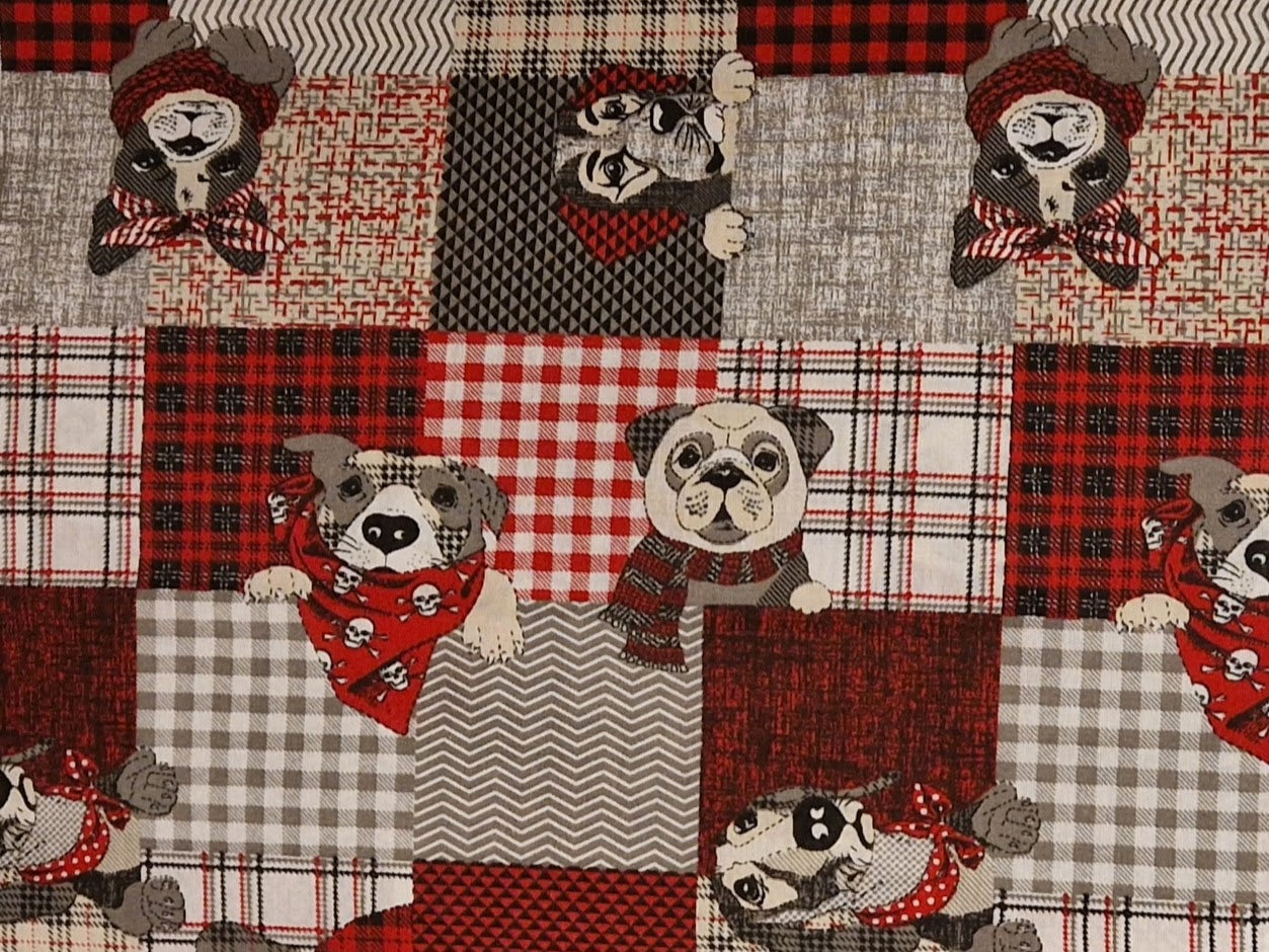 Welpen- Kittenpaket 2