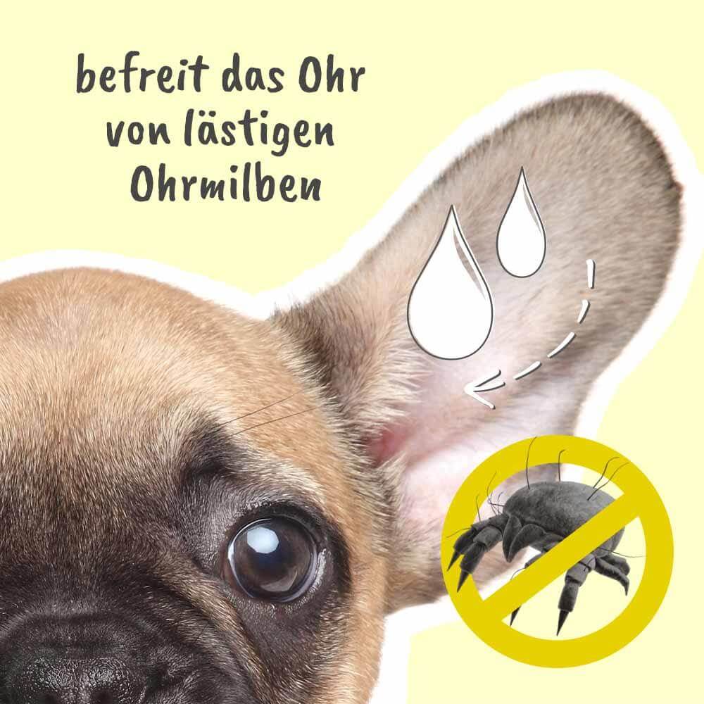 cdVet MilbenEx Ohrreiniger für Hunde, Katzen und andere Heimtiere