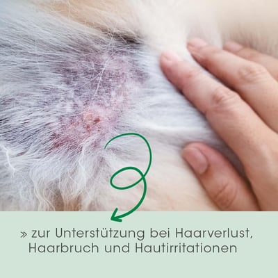 cdVet Fell & Haut Vital für Hunde und Katzen