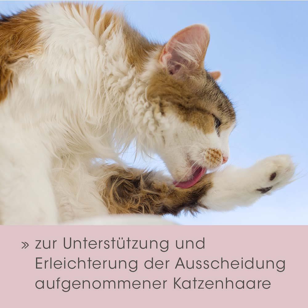 cdVet feliTATZ Bio-HaarballenÖl für Katzen, 50ml