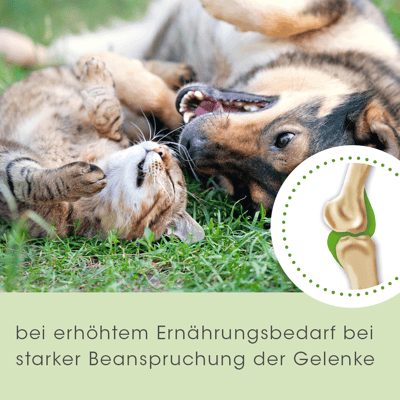 cdVet ArthoGreen Classic für Hunde und Katzen