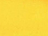 Halstuch/Dreieckstuch/Bandana mit Wunschstick