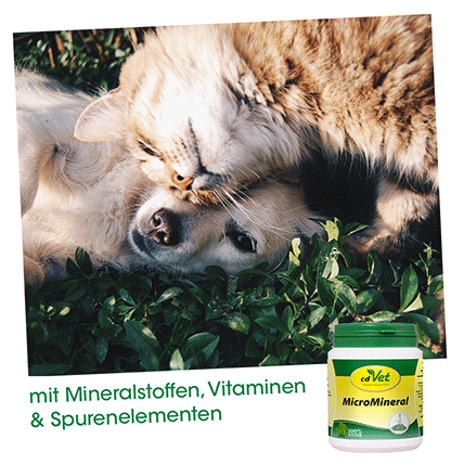 cdVet MicroMineral für Hunde und Katzen