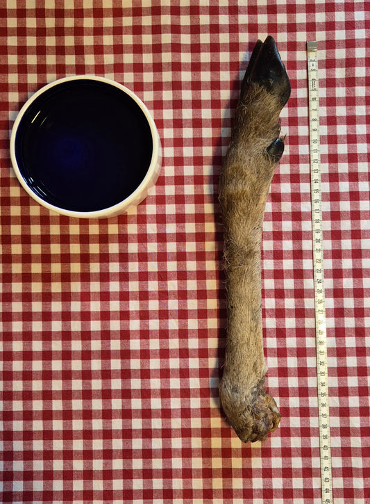 Hirschbein mit Fell