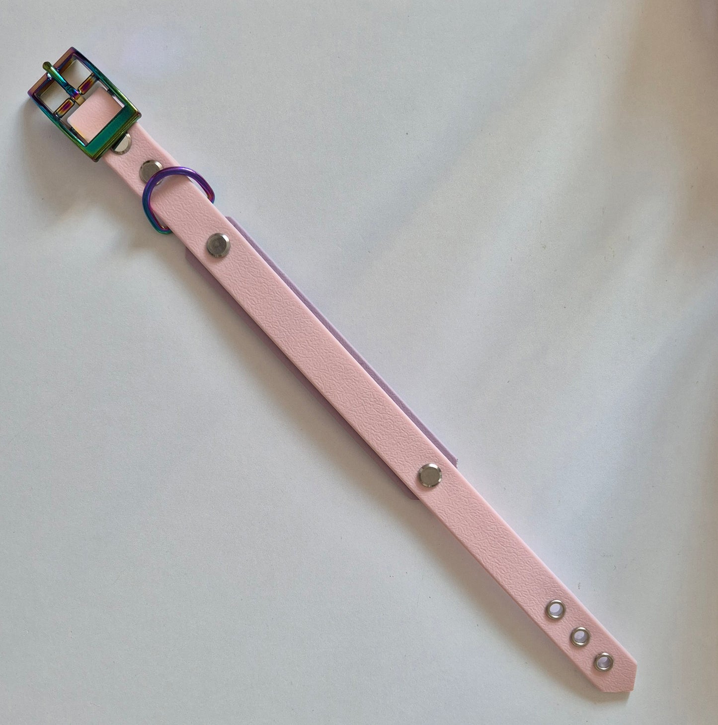 Biothane Halsband, personalisierbar