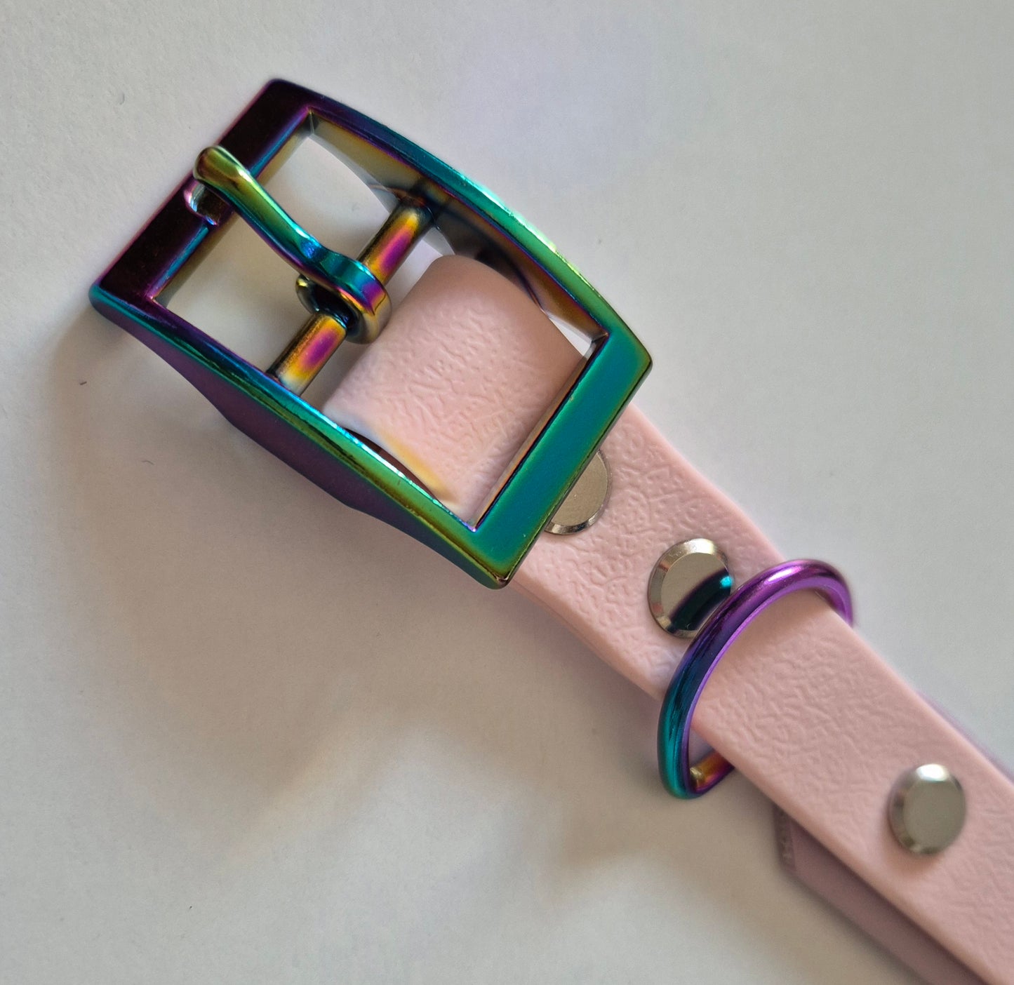 Biothane Halsband, personalisierbar