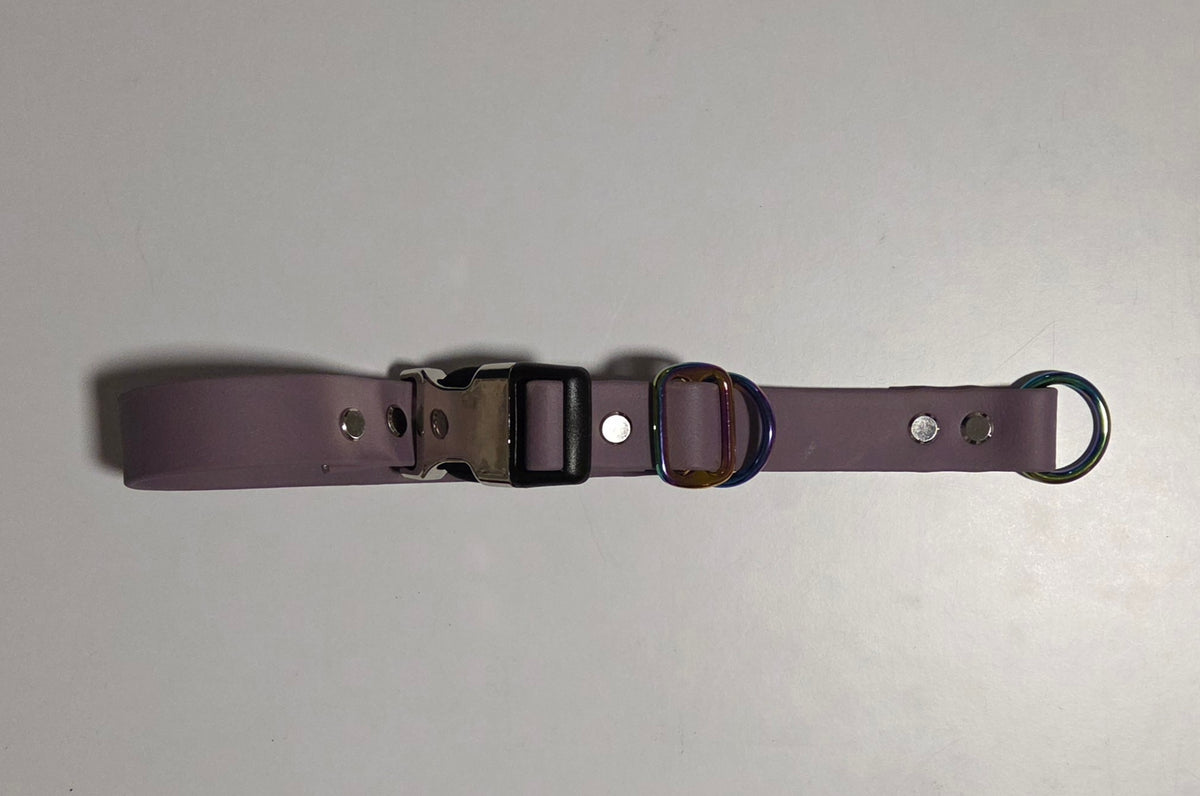 Biothane Zugstopphalsband mit Klick-Verschluß, personalisierbar
