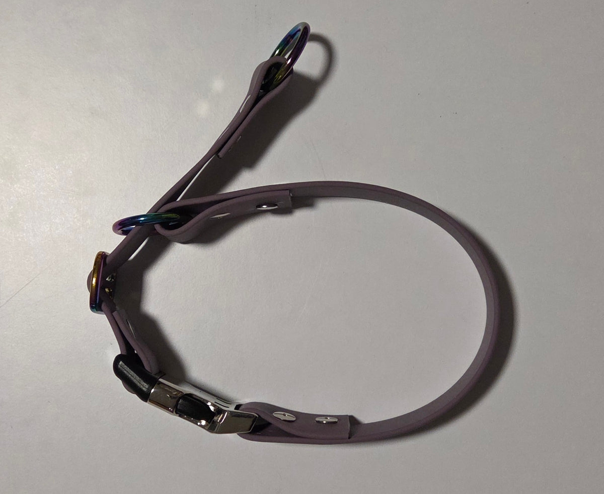Biothane Zugstopphalsband mit Klick-Verschluß, personalisierbar