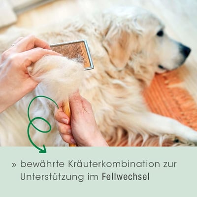 cdVet Fell & Haut Vital für Hunde und Katzen