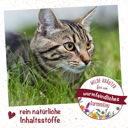 cdVet feliTATZ WK-Mix ehemals cdProtect Cat