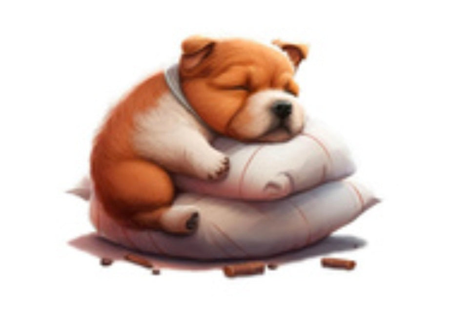 Hunde-/Katzenbett mit Panel