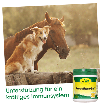 cdVet PropolisHerbal für Hunde, Katzen, Pferde und Heimtiere